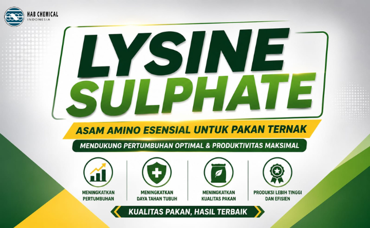 Rahasia di Balik Pertumbuhan Cepat dan Daging Berkualitas dengan Lysine Sulphate