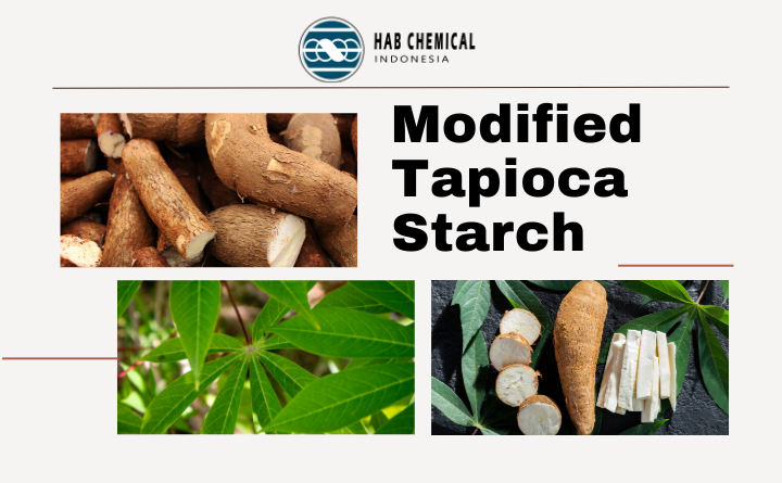 Modified Tapioca Starch ex Siam – Pati Termodifikasi Serbaguna untuk Industri Makanan & Farmasi