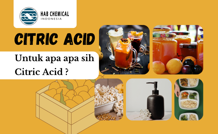 CITRIC ACID ATAU ASAM SITRAT