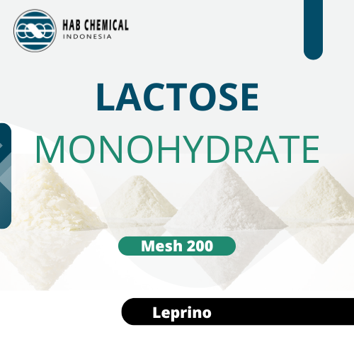 Lactose ex Leprino